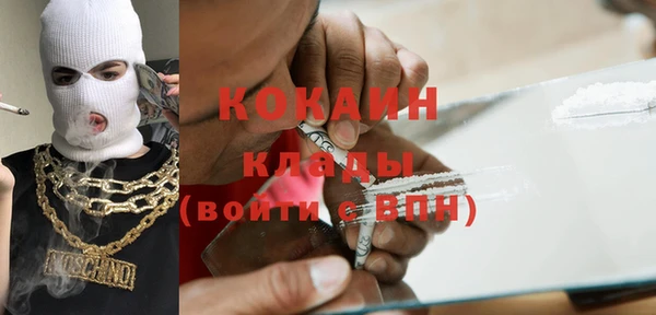 ALPHA PVP Ельня