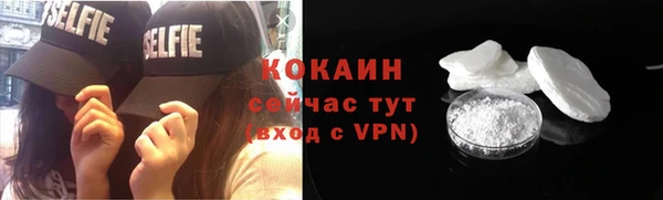 ALPHA PVP Ельня