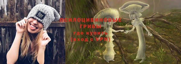 ALPHA PVP Ельня