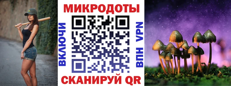 Псилоцибиновые грибы Psilocybine cubensis  Кадников 